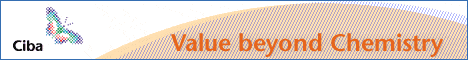 LargeTop Banner
