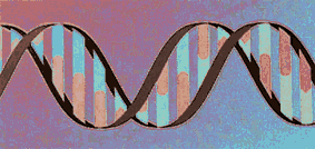 pic DNA Doppelhelix